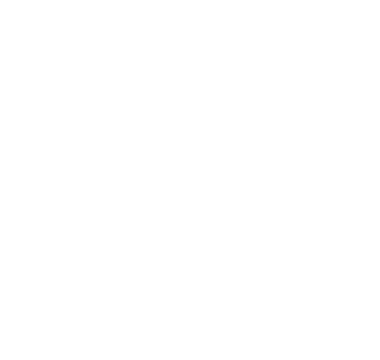 DY Logo